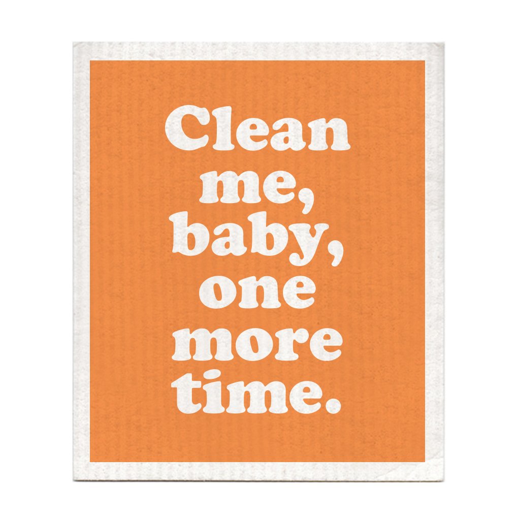 CLEAN ME BABY ONE MORE TIME DISH RAG