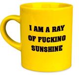 I AM A F*CKING RAY OF SUNSHINE MINI MUG (SHOT GLASS)